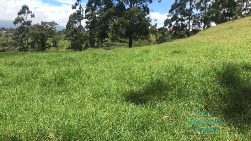 Terreno en Venta en Vereda La Garzona